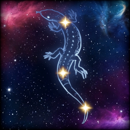 Lizard