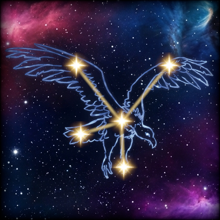 Vulture