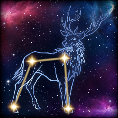 Stag