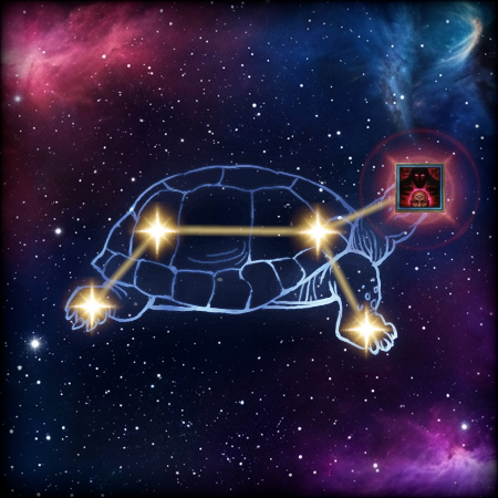 Tortoise