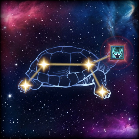 Tortoise