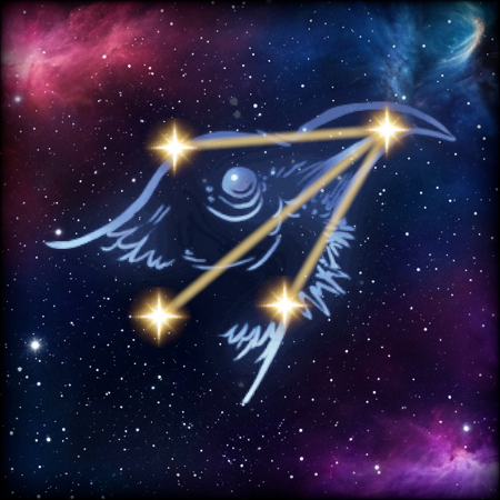 Raven