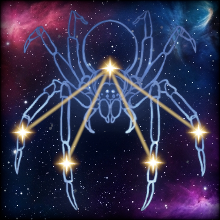 Spider