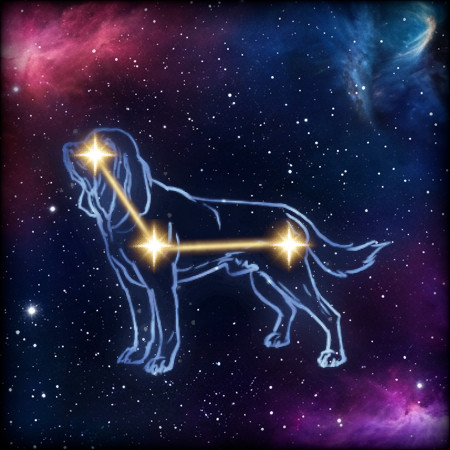 Hound