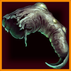 Item 5
