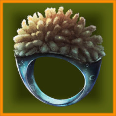 Item 5