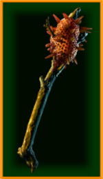 InsectArmy_Mhand_reg