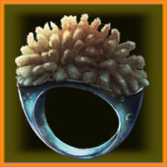 VoidKnightLeveling_RingB